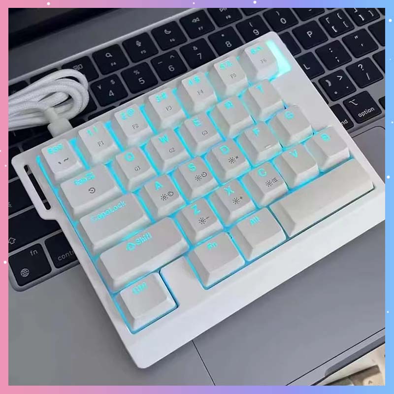 Gaming Keyboard Magnetic Switches - Teclado Mecánico para Juegos HE30, 29